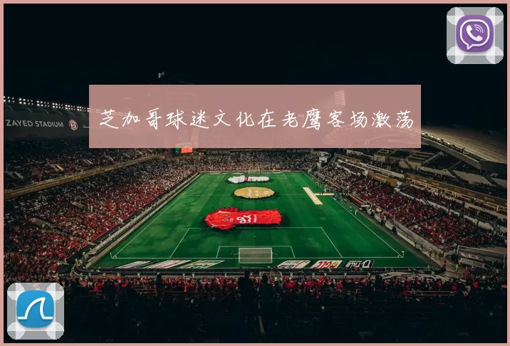 芝加哥球迷文化在老鹰客场激荡
